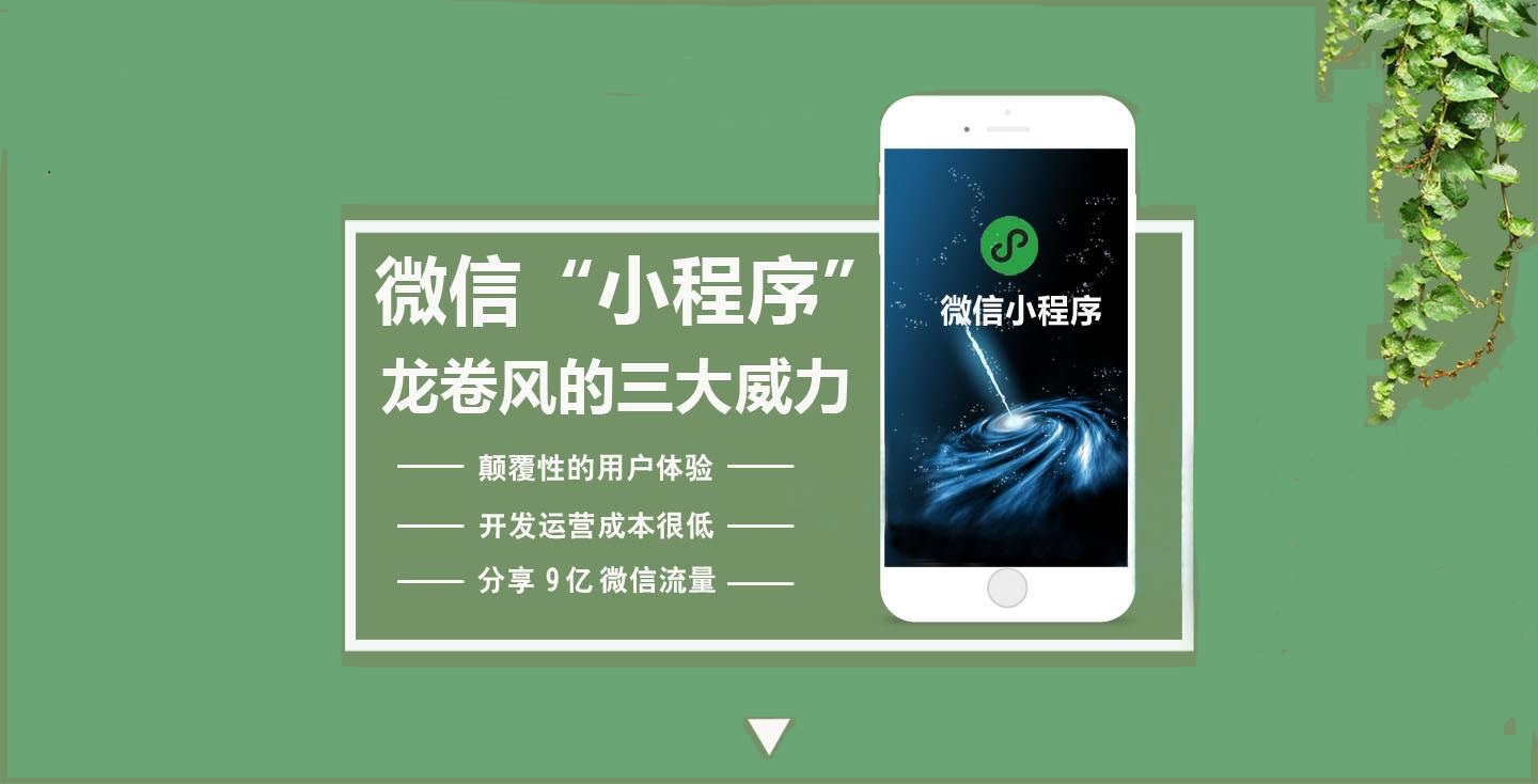上海小程序开发策划(小程序开发app开发)
