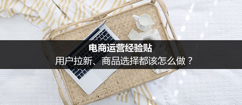 网站运营转电商怎么做(电商运营如何提高转化率)