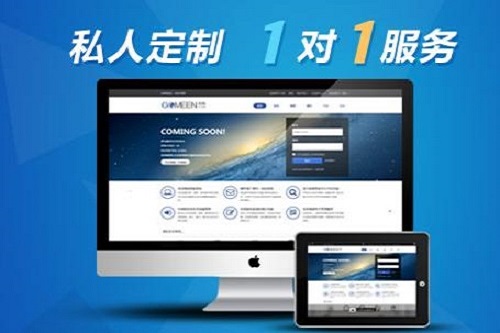 西安专业网站建设公司(西安网站建设公司无网不胜)