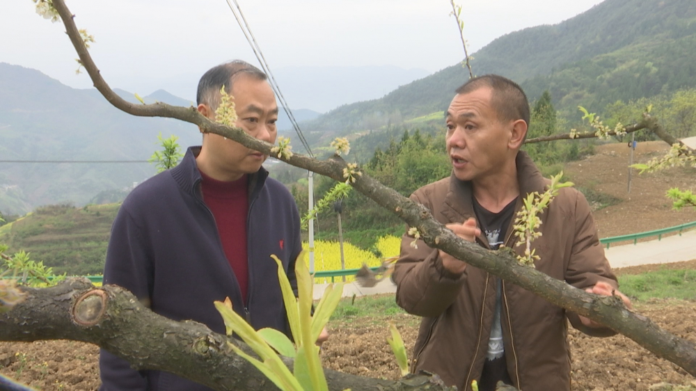 奉节网站建设(奉节信息网奉节生活网)