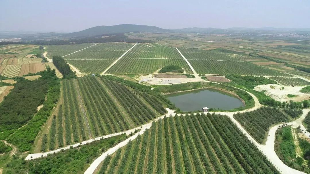 乳山网站建设开发(乳山网站建设开发招聘)