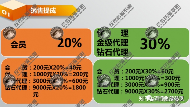 国盾互联网最新消息(国盾互联原始股分红是真的吗)