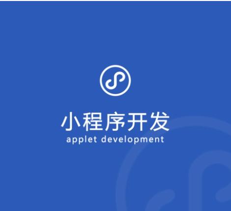 上海专业小程序开发公司(上海专业小程序开发公司有哪些)
