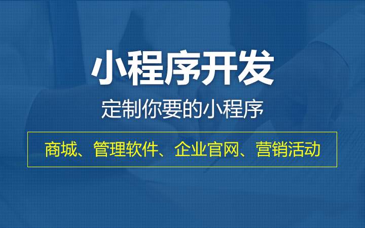 廉江小程序定制开发(廉江小程序定制开发公司)