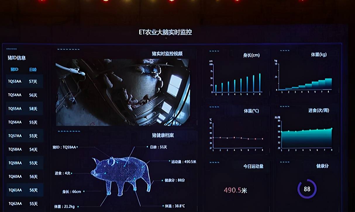 互联网猪业最新消息(互联网猪业最新消息公布)