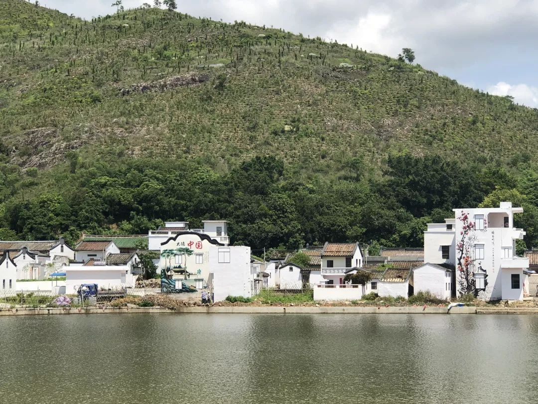 新山村网站建设(新山村新房)