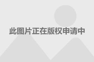 互联网新闻信息服务业务(互联网新闻信息服务业务经营许可证)