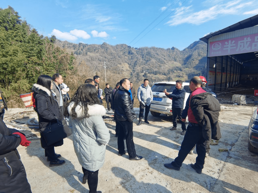 城口县网站建设服务(城口县网站建设服务公司)