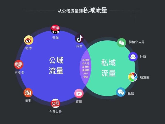 互联网新闻社群的特点包括(互联网新闻社群的特点包括什么)