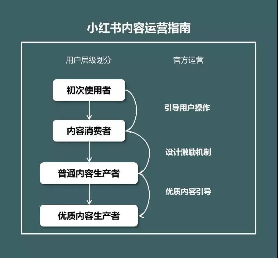 小红书运营数据网站怎么做(小红书运营数据网站怎么做的)