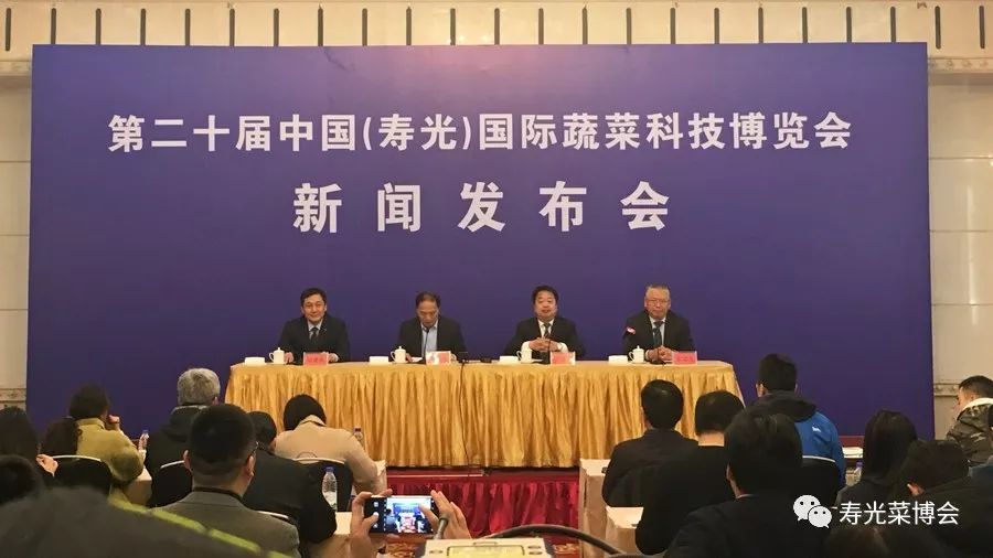 互联网菜博会新闻(互联网菜博会新闻报道)