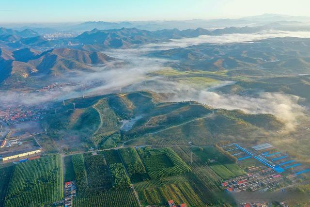 唐山迁西网站建设(唐山市迁西县未来规划图)