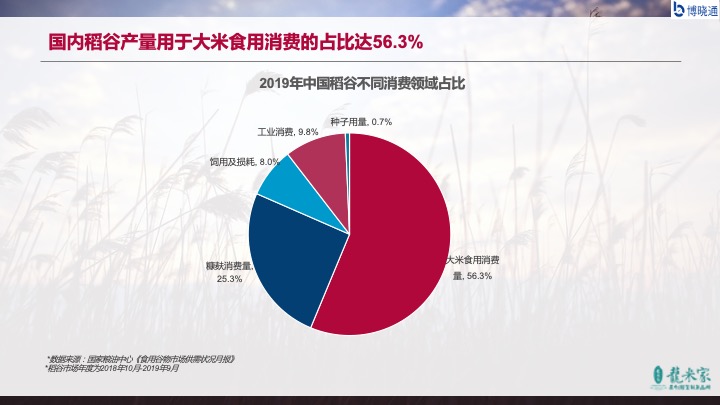 互联网大米新闻(互联网大米经营模式)