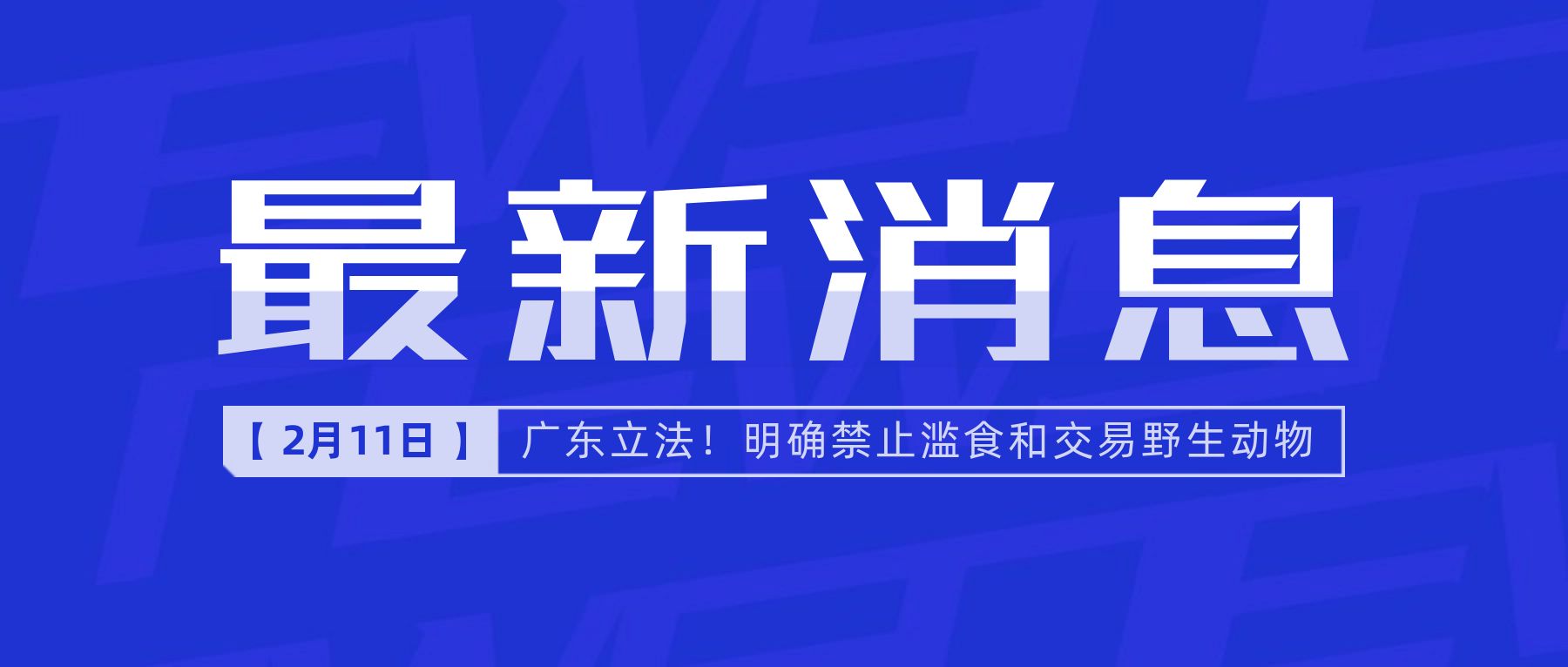 互联网消费新闻(互联网消费新闻最新消息)