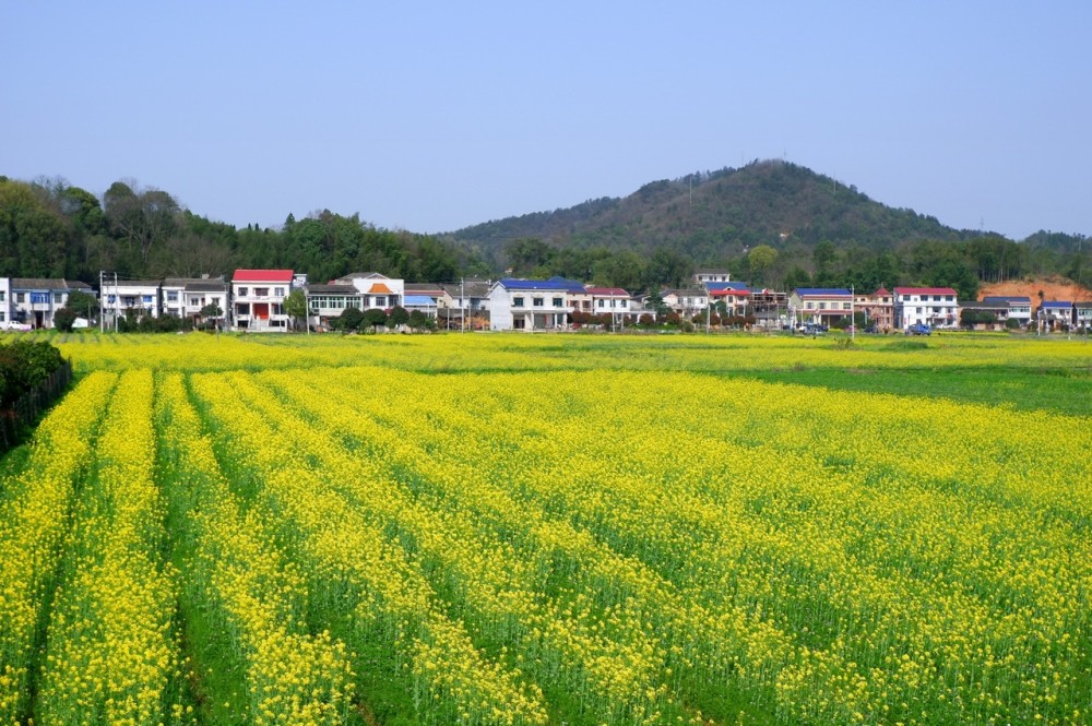 湘潭韶山企业网站建设建设的简单介绍