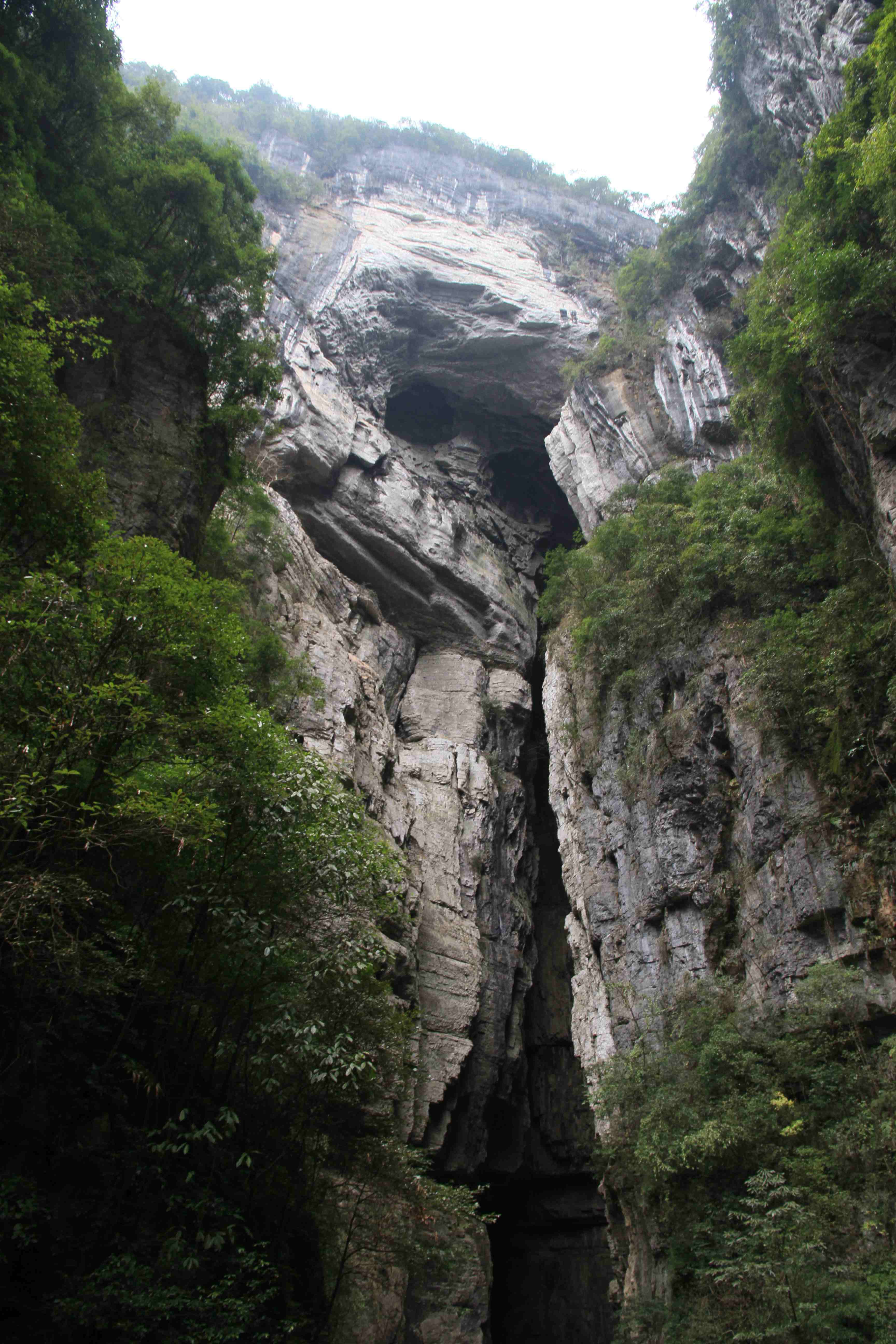 重庆武隆网站建设(重庆武隆建设投资集团)