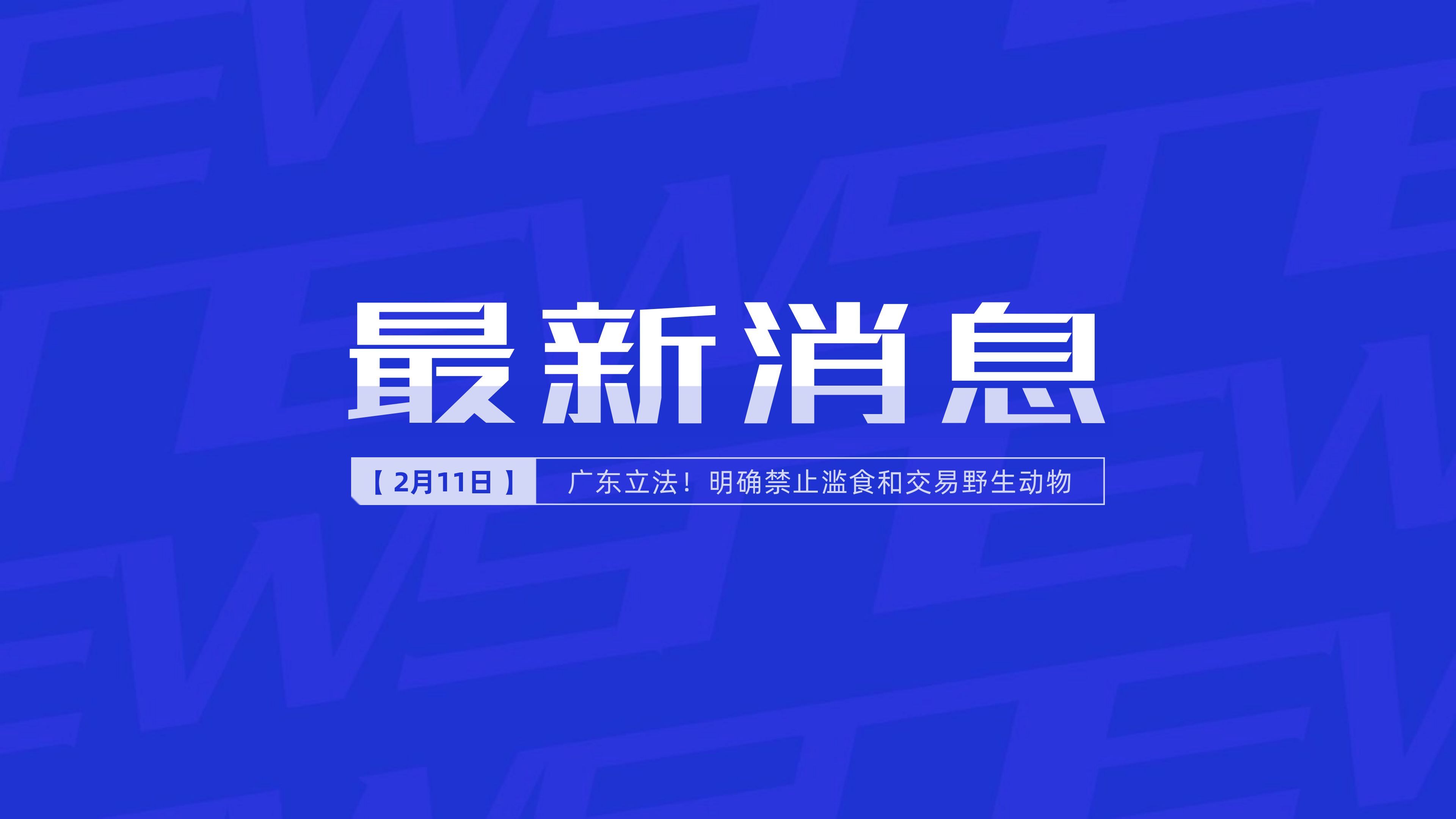 互联网怎么发布新闻消息(互联网怎么发布新闻消息呢)