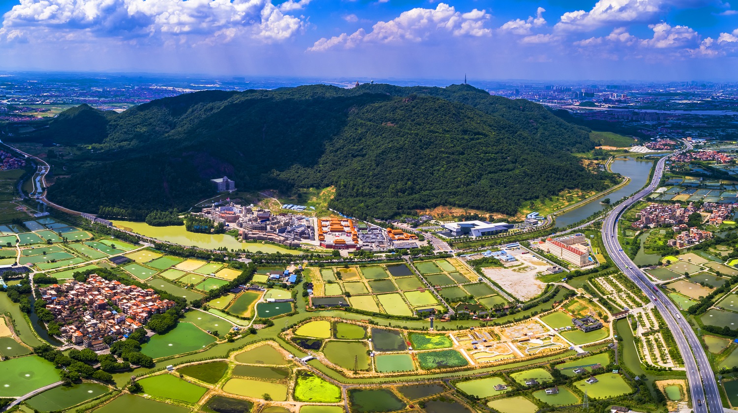 西樵大沥网站建设新闻(西樵去大沥车站坐几路公交车)