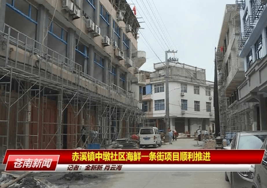 苍南网站建设(苍南人民政府网站投标)