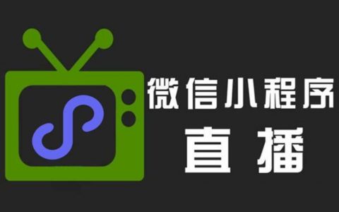 烟台小程序开发策略公司(烟台小程序开发策略公司有哪些)