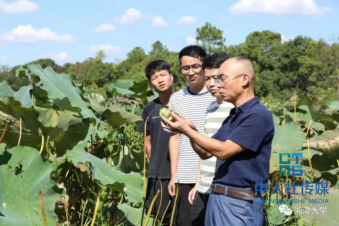 莲兴网站建设(安徽莲兴建筑工程有限公司)