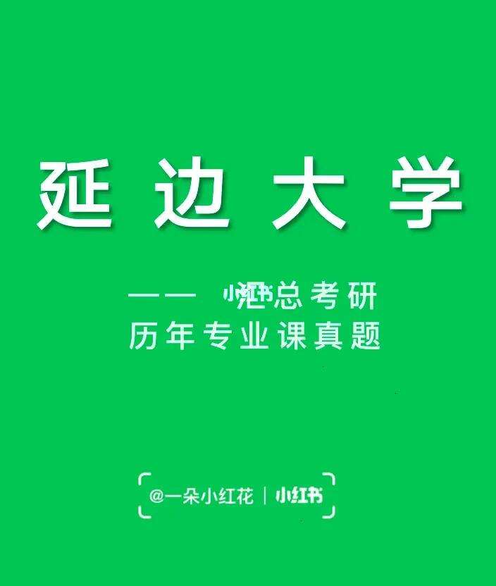 延边大学网站建设(延边大学网上办事大厅官网)